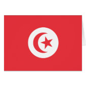 Tunisia Flag (Front Horizontal)