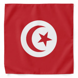 Tunisia flag bandana