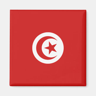 Tunisia Flag Magnet