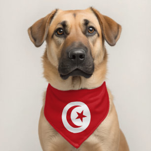 Tunisia flag pet bandana collar