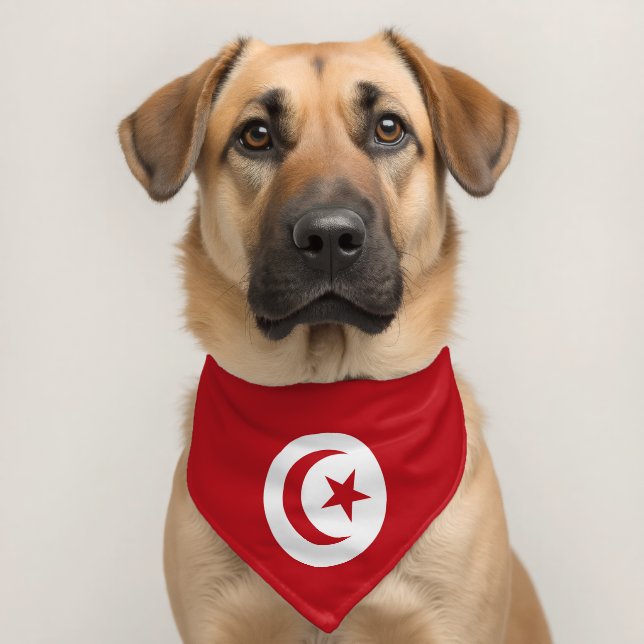Tunisia flag pet bandana collar (Dog 2)