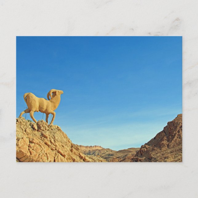 Tunisia goat statue postcard (Front)