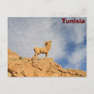 Tunisia goat statue postcard
