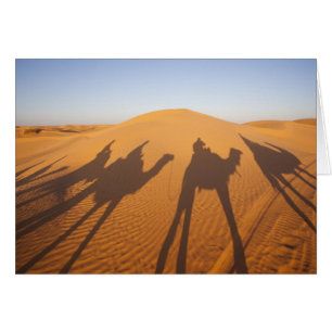 Tunisia, Ksour Area, Ksar Ghilane, Grand Erg 5