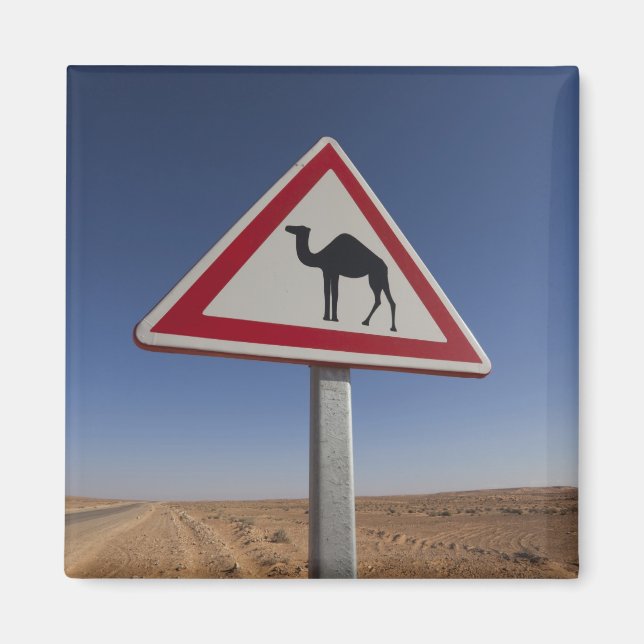 Tunisia, Ksour Area, Ksar Ghilane, Grand Erg 6 Magnet (Front)