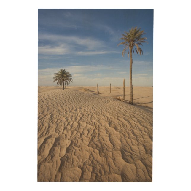 Tunisia, Sahara Desert, Douz, Great Dune, dawn Wood Wall Art (Front)
