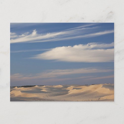Tunisia Sahara Desert Douz Great Dune dusk 2 Postcard