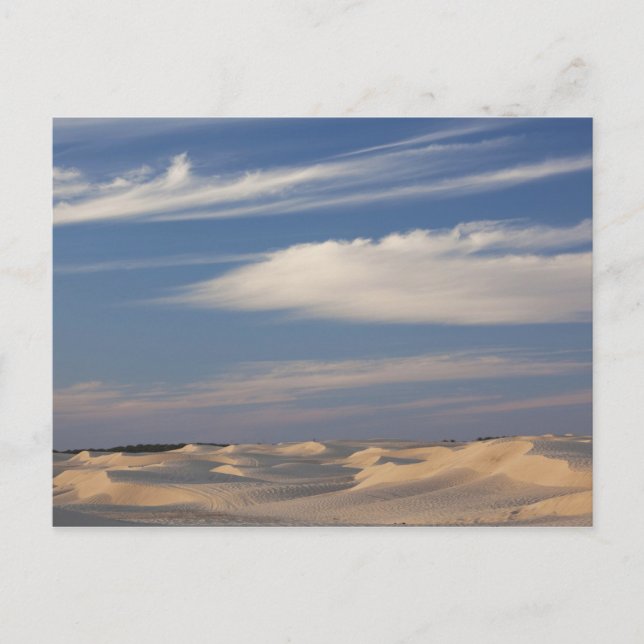 Tunisia, Sahara Desert, Douz, Great Dune, dusk 2 Postcard (Front)