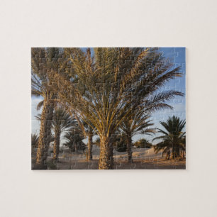 Tunisia, Sahara Desert, Douz, Great Dune, palm Jigsaw Puzzle