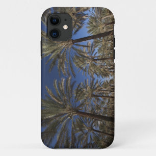 Tunisia, Sahara Desert, Douz, Zone Touristique, 2 iPhone 11 Case