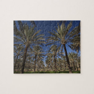 Tunisia, Sahara Desert, Douz, Zone Touristique, 2 Jigsaw Puzzle