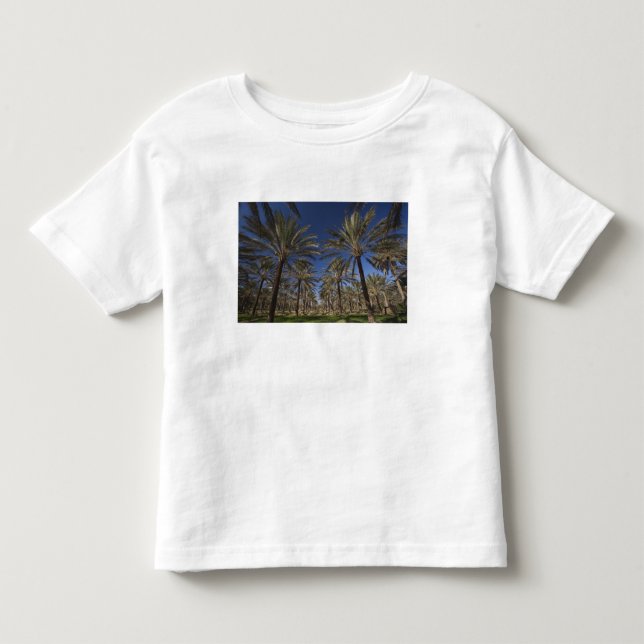 Tunisia, Sahara Desert, Douz, Zone Touristique, 2 Toddler T-shirt (Front)