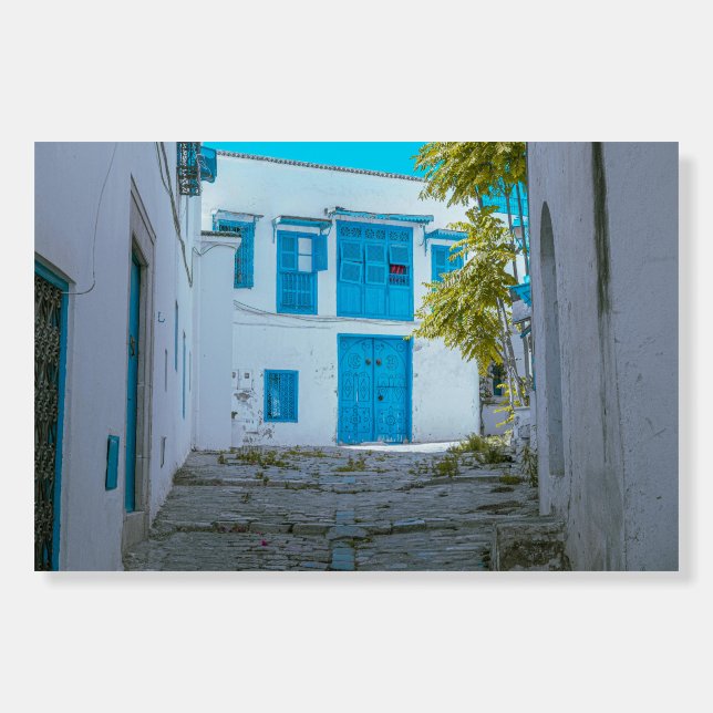 Tunisia sidi bou said amazing view Building Foam Board (Front)