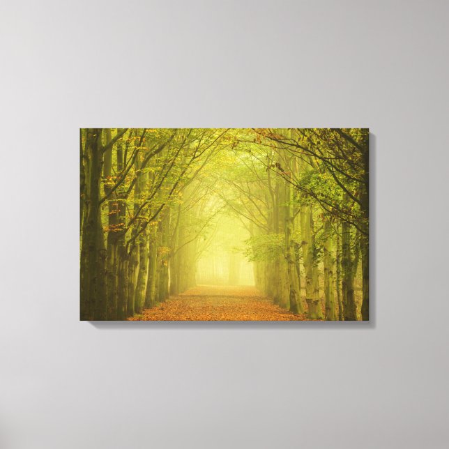 Tunnel of light canvas print (Front)