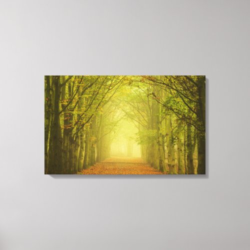 Tunnel of light canvas print