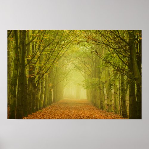 Tunnel of light in the forest poster