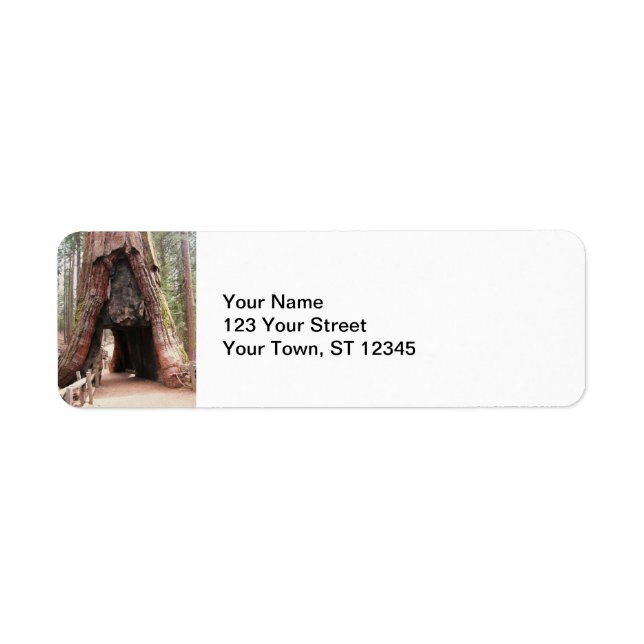 Tunnel Tree- Yosemite Label (Front)