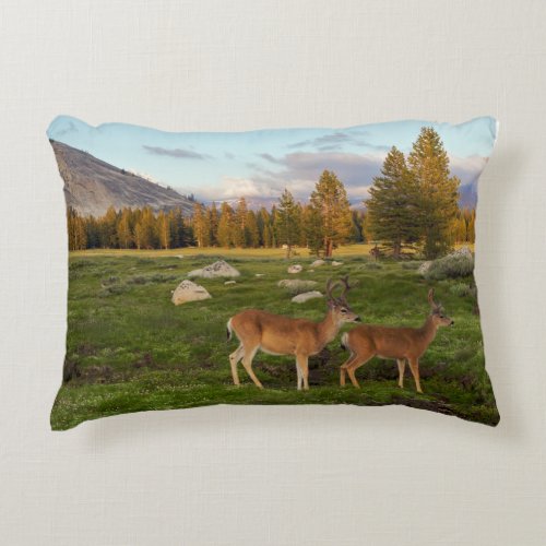Tuolumne Meadow Yosemite Accent Pillow
