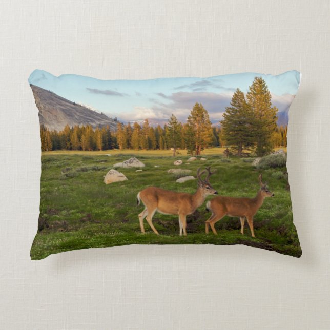 Tuolumne Meadow, Yosemite Accent Pillow (Front)