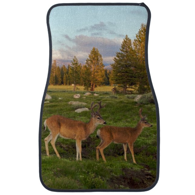 Tuolumne Meadow, Yosemite Car Mat (Front)