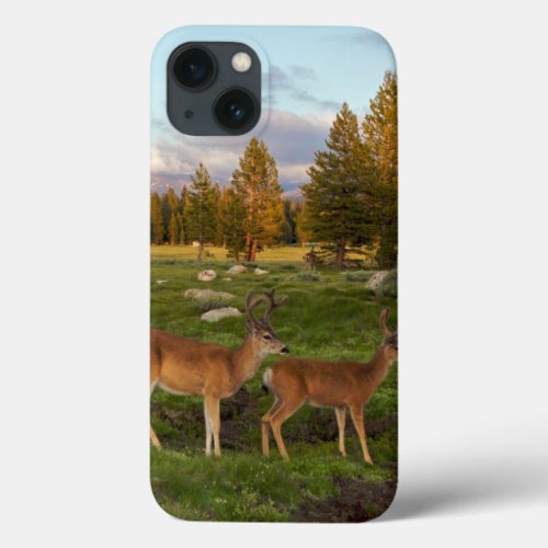 Tuolumne Meadow Yosemite iPhone 13 Case