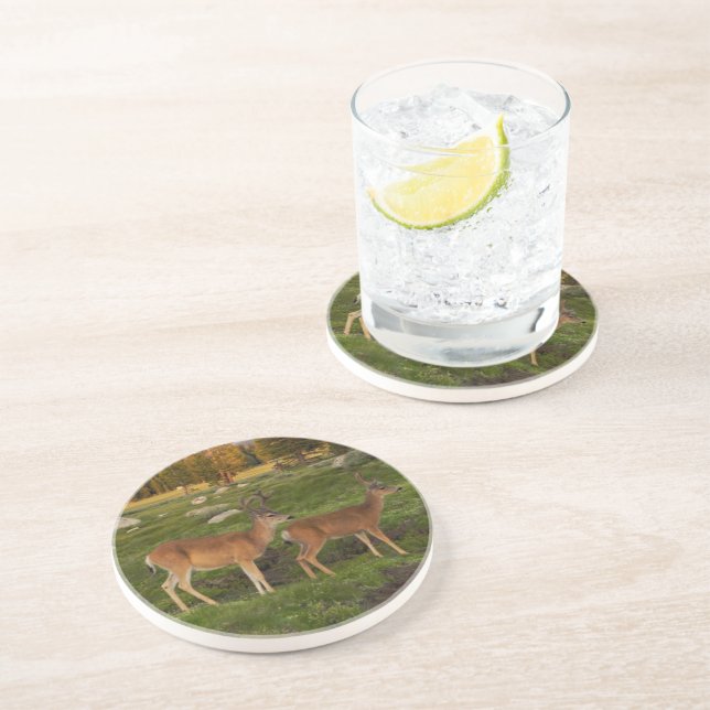 Tuolumne Meadow, Yosemite Drink Coaster (Side)