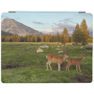 Tuolumne Meadow, Yosemite iPad Smart Cover