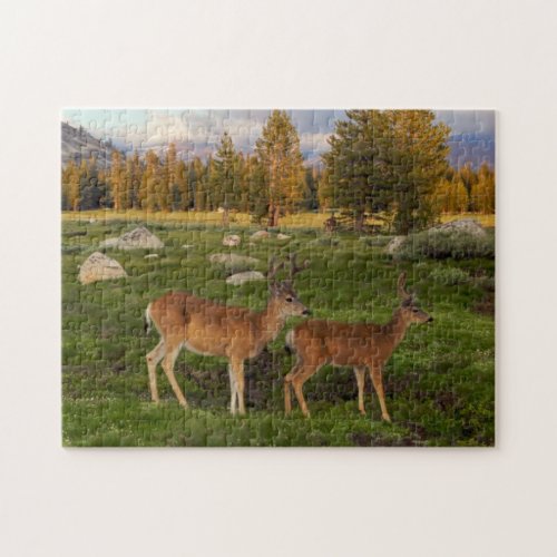 Tuolumne Meadow Yosemite Jigsaw Puzzle