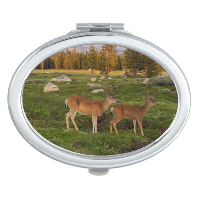 Tuolumne Meadow, Yosemite Makeup Mirror (Front)