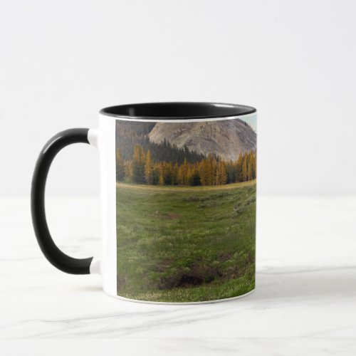 Tuolumne Meadow Yosemite Mug