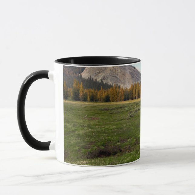 Tuolumne Meadow, Yosemite Mug (Left)