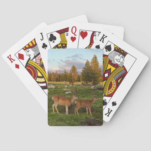 Tuolumne Meadow, Yosemite Poker Cards (Back)