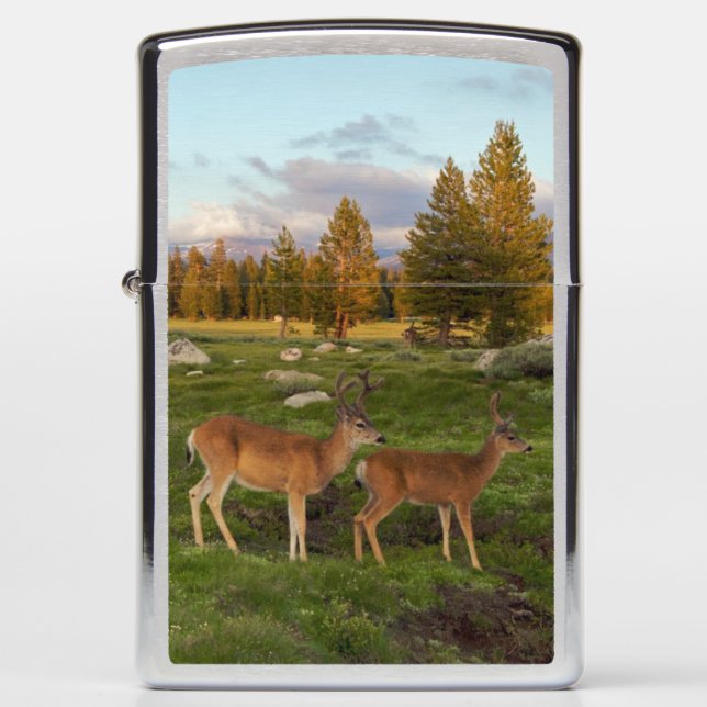 Tuolumne Meadow, Yosemite Zippo Lighter (Front)
