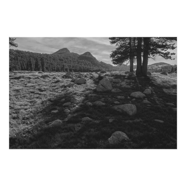 Tuolumne Meadows of Yosemite National Park Photo Print (Front)
