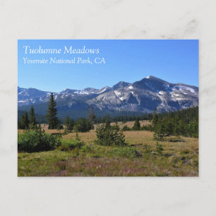 Tuolumne Meadows, Yosemite, CA Postcard