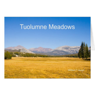 Tuolumne Meadows Yosemite California Products Cards