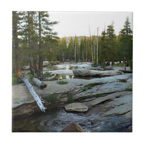 Tuolumne River by Campground Yosemite CA Ceramic Tile