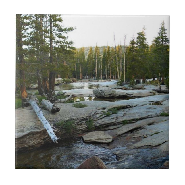 Tuolumne River by Campground, Yosemite, CA Ceramic Tile (Front)