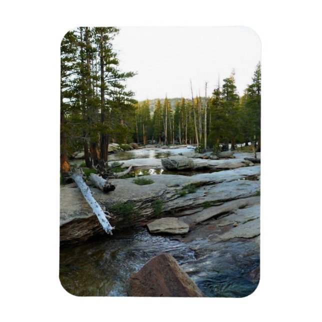 Tuolumne River by Campground, Yosemite, CA Magnet (Vertical)