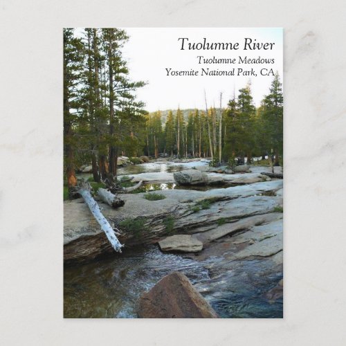 Tuolumne River by Campground Yosemite CA Postcar Postcard
