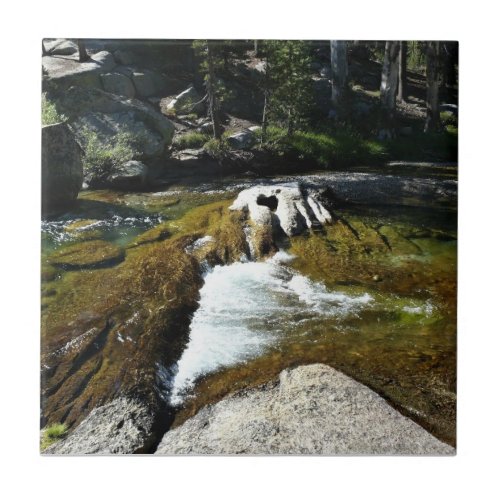 Tuolumne River in Tuolumne Meadows Yosemite CA Ceramic Tile