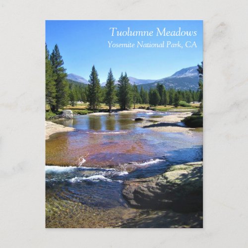 Tuolumne River in Tuolumne Meadows Yosemite CA P Postcard