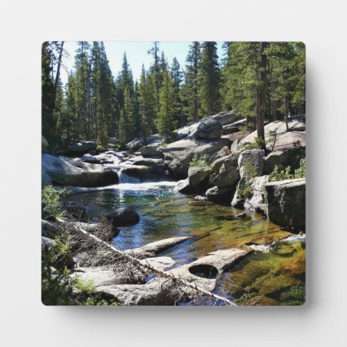 Tuolumne River in Tuolumne Meadows Yosemite CA Plaque