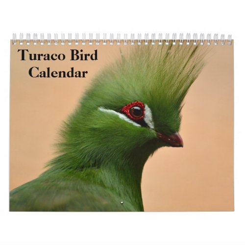 Turaco Bird 2024 Calendar
