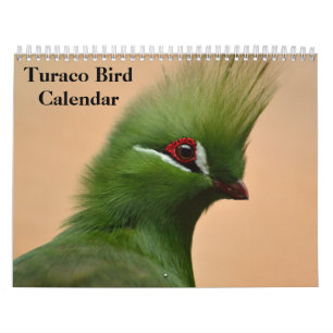 Turaco Bird 2027 Calendar