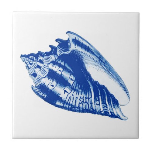 Turban Conch Shell Indigo Blue and White Tile