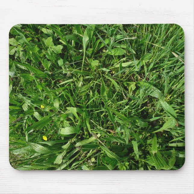 Turf Mouse Pad (Front)