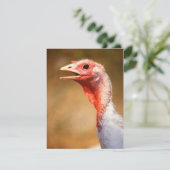 Turkey (Standing Front)