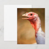 Turkey (Front/Back)