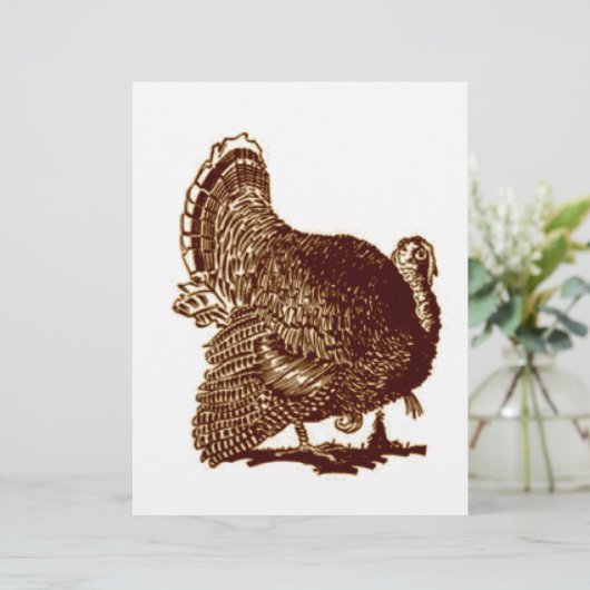 Turkey (Standing Front)